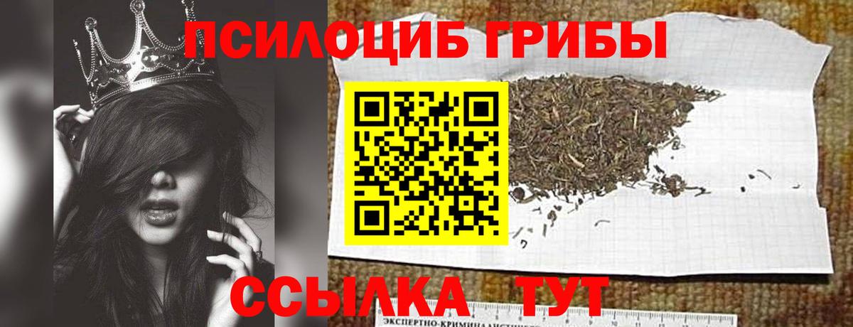Надым  Псилоцибиновые грибы мицелий  Вход с VPN 